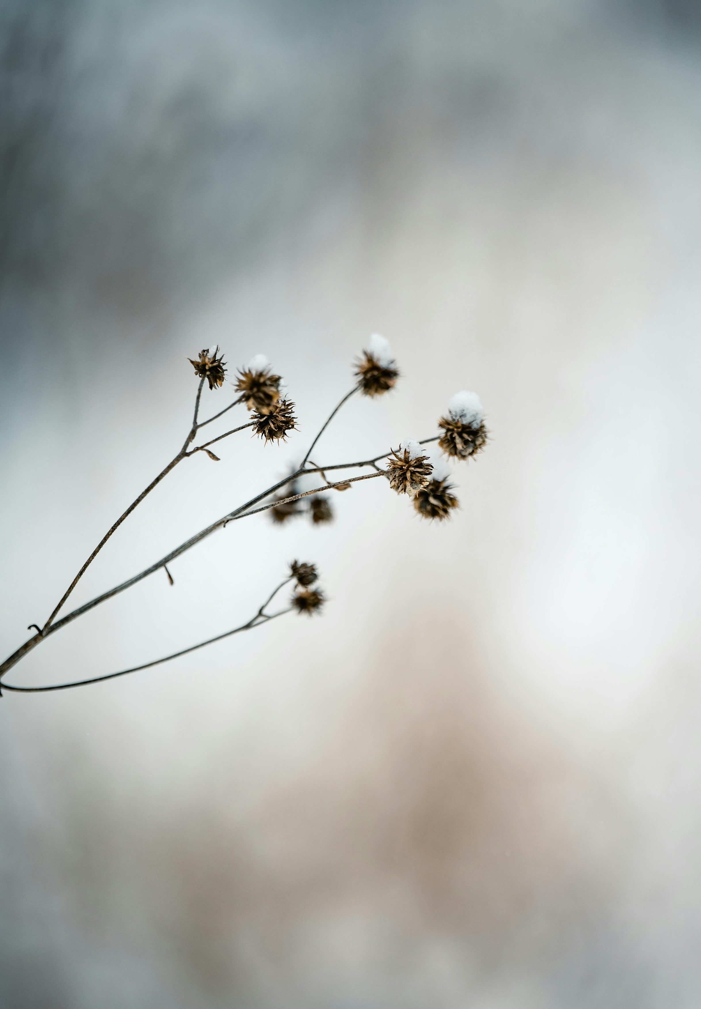 When You’re Being Undermined at Work: The CALM Leadership Approach